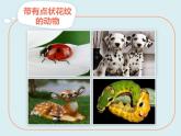蘇少版二年級(jí)美術(shù)下冊(cè) 第12課　點(diǎn)　線　面 課件PPT