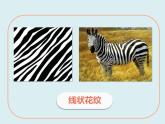 蘇少版二年級(jí)美術(shù)下冊(cè) 第12課　點(diǎn)　線　面 課件PPT