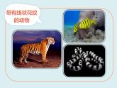 蘇少版二年級(jí)美術(shù)下冊(cè) 第12課　點(diǎn)　線　面 課件PPT