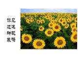 蘇少版五年級(jí)下冊(cè)美術(shù)課件 第1課《近大遠(yuǎn)小》