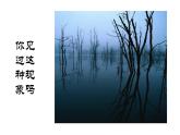 蘇少版五年級(jí)下冊(cè)美術(shù)課件 第1課《近大遠(yuǎn)小》