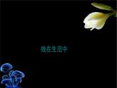 線條的魅力PPT課件免費(fèi)下載
