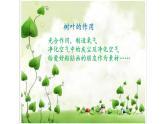 五年級(jí)下冊(cè)美術(shù)蘇少版《理想的居住環(huán)境》優(yōu)質(zhì)課一等獎(jiǎng)?wù)n件