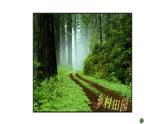 五年級(jí)下冊(cè)美術(shù)蘇少版《理想的居住環(huán)境》優(yōu)課一等獎(jiǎng)?wù)n件