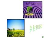 五年級(jí)下冊(cè)美術(shù)蘇少版《理想的居住環(huán)境》優(yōu)課一等獎(jiǎng)?wù)n件