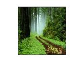 五年級(jí)下冊(cè)美術(shù)蘇少版《理想的居住環(huán)境》優(yōu)質(zhì)課教學(xué)課件