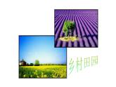 五年級(jí)下冊(cè)美術(shù)蘇少版《理想的居住環(huán)境》優(yōu)質(zhì)課教學(xué)課件