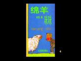 蘇少版五年級美術(shù)下冊《我設(shè)計的圖書封面》公開課一等獎課件