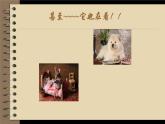 五年級下冊美術(shù)蘇少版《我做的圖書》公開課一等獎?wù)n件