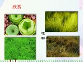 人教版小學(xué)美術(shù)一年級(jí)上冊(cè)   3.彩線連彩點(diǎn)   同步課件