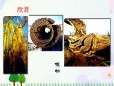 人教版小學(xué)美術(shù)一年級(jí)上冊(cè)   3.彩線連彩點(diǎn)   同步課件