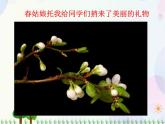 人教版小學美術一年級上冊   11.花兒寄深情   同步課件
