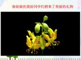人教版小學美術一年級上冊   11.花兒寄深情   同步課件