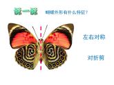 第16課 蝴蝶飛 課件