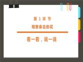 《一束玫瑰花》 課件
