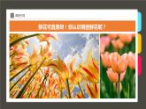 《一束玫瑰花》 課件