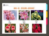 《一束玫瑰花》 課件