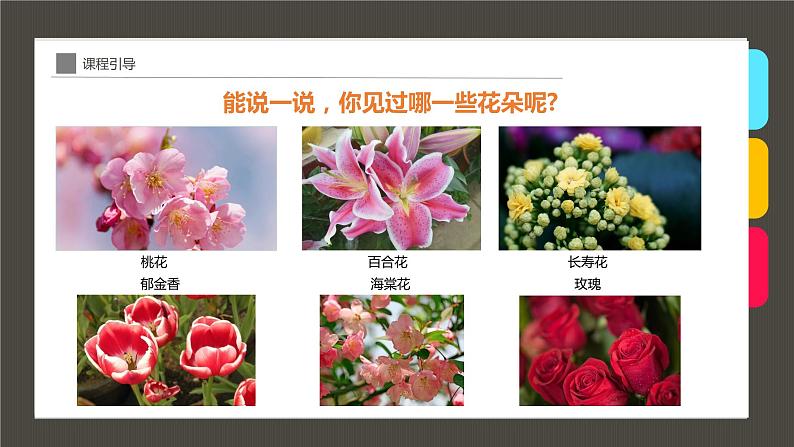 《一束玫瑰花》 课件03