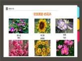 《一束玫瑰花》 課件