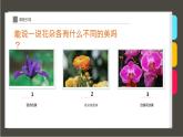 《一束玫瑰花》 課件