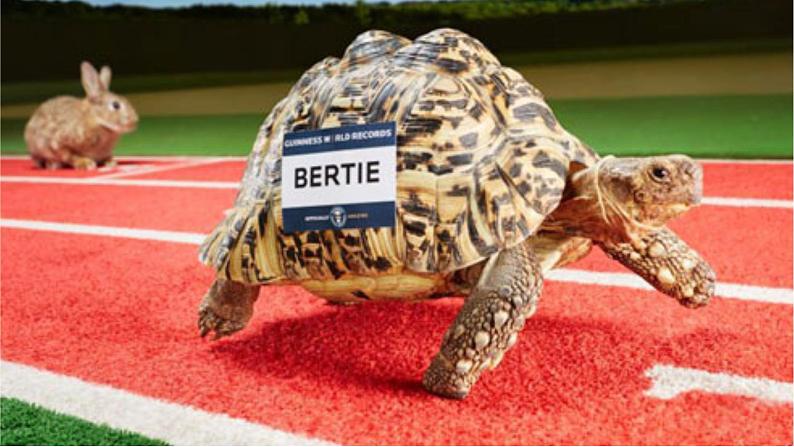 二年级下册美术课件-第17课 会爬的玩具（16）-人教版07