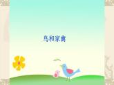 苏少版四年级美术下册《鸟和家禽》优质课教学课件