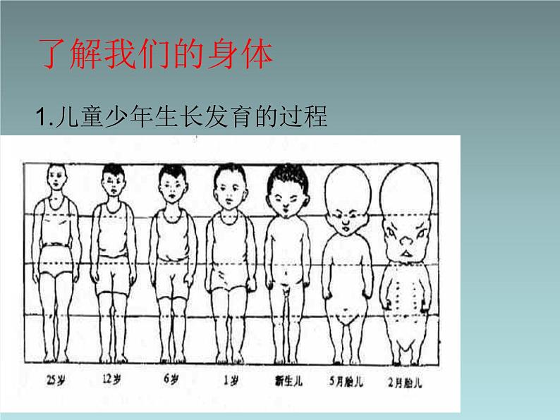 3.2 小学生身 体健康自我监测与运动损伤 （课件） 体育与健康五至六年级 人教版(共19张PPT)03