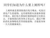 一年级上册体育与健康课件-文明如厕讲卫生  人教版 (共15张ppt)