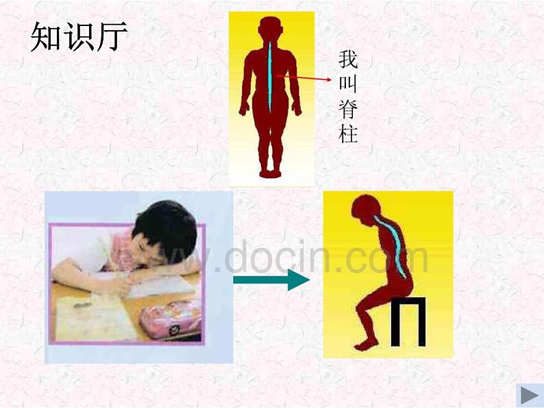 体育与健康人教版1～2年级全一册  3.2 坐立行我最美（课件）第4页