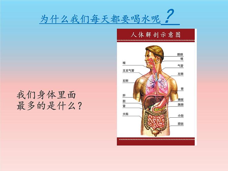 体育与健康人教版1～2年级全一册  3.3 饮水有益健康 (2)（课件）第4页