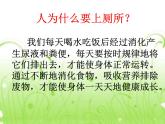文明如厕讲卫生PPT课件免费下载