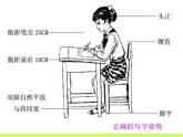 体育与健康人教版3～4年级全一册 3.5   用眼卫生 课件