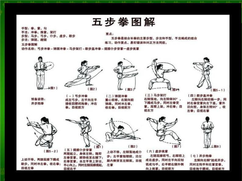 体育与健康人教版5～6年级全一册 7  武术（课件）第5页