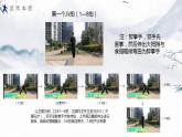 小学《体育与健康》 人教版 三年级 武术系列健身操（拳术类） 武术操课件 第二课（醉拳） 课件