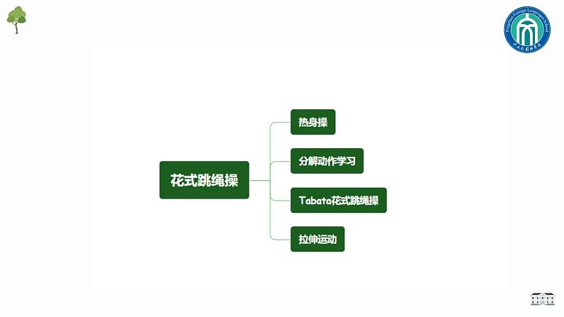 小学体育 五年级 花式跳绳操 花式跳绳操 课件02