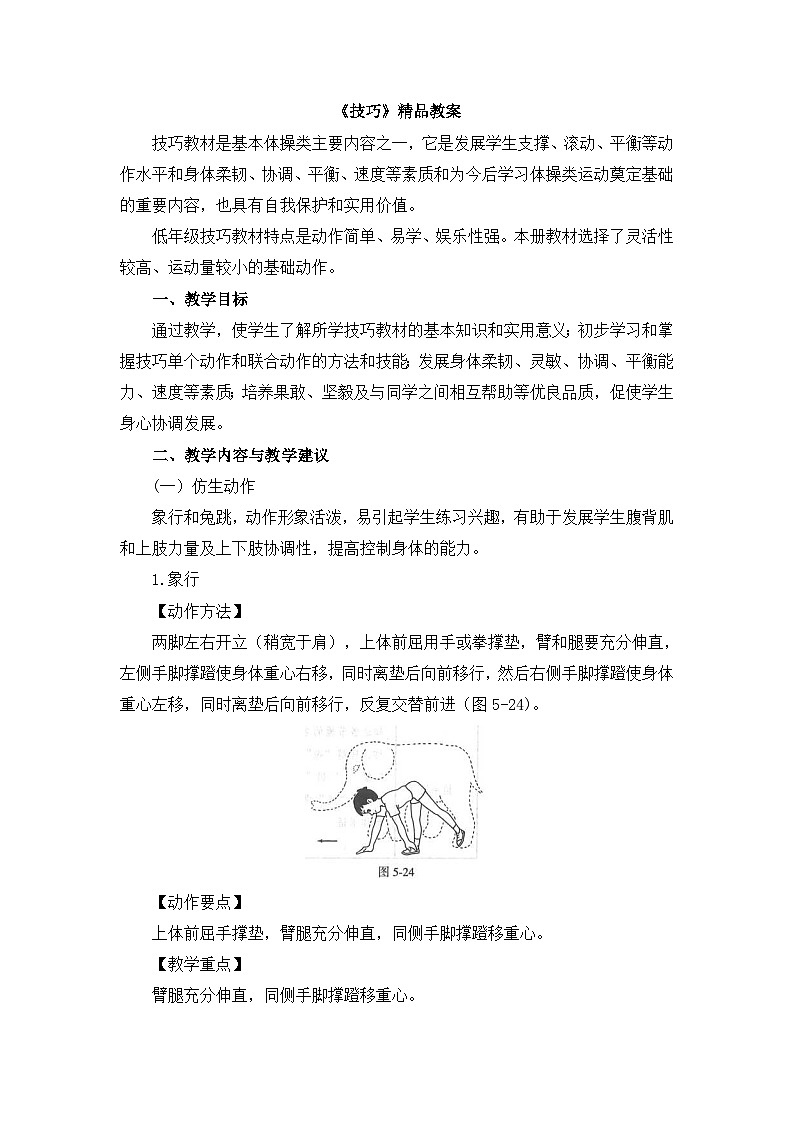 《技巧》精品教案01