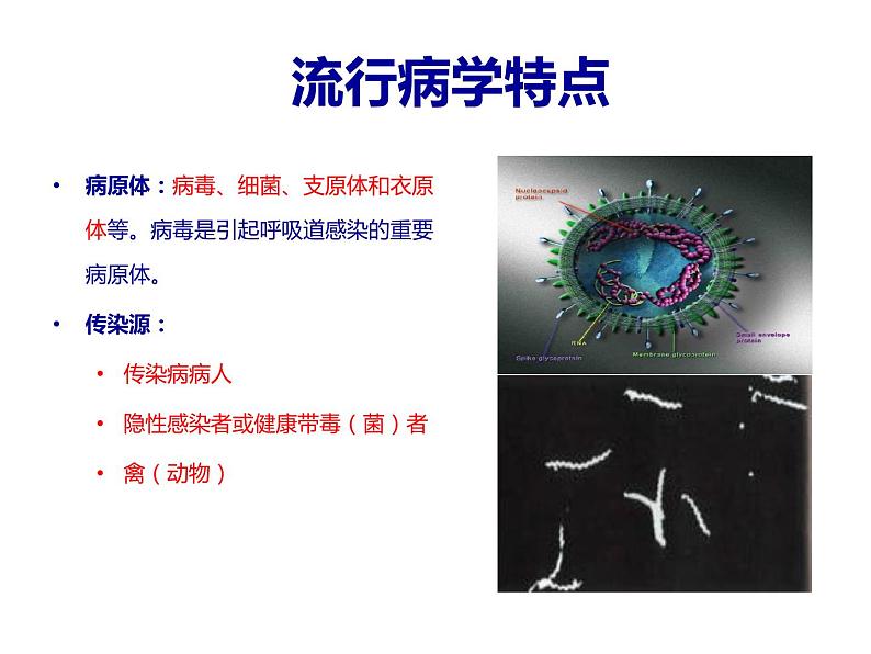 人教版小学三四年级体育与健康《呼吸道传染病的预防》ppt课件208