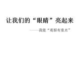 北師大版 二年級(jí)上冊(cè)心理健康-第十七課學(xué)會(huì)觀察讓我們的“眼睛”亮起來ppt課件