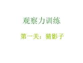 北師大版 二年級(jí)上冊(cè)心理健康-第十七課學(xué)會(huì)觀察讓我們的“眼睛”亮起來ppt課件