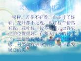 北師大版 二年級下冊心理健康9發(fā)現(xiàn)別人的優(yōu)點（14）ppt課件
