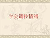 北師大版 五年級(jí)上冊(cè)心理健康-第九課做情緒的主人-學(xué)會(huì)調(diào)控情緒(共14)ppt課件
