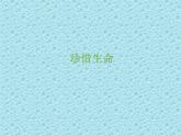 一年级下册心理健康课件-第二十九课 珍爱生命｜北师大版  （共28张PPT）