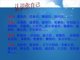北师大版六年级上册心理健康 2.正确认识我自己 课件（10张PPT）