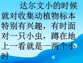 我的興趣愛好PPT課件免費下載
