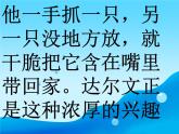 我的興趣愛好PPT課件免費下載