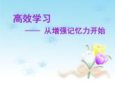 六年級上冊心理健康課件-第十三課 高效學習-從增強記憶力開始 ｜北師大版(共14張PPT)