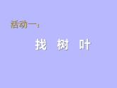 小学六年级上册心理健康教育-正确认识我自己---北师大(16张PPT)ppt课件