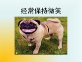 小學六年級下冊心理健康教育-做情緒的主人--(39張PPT)ppt課件