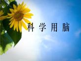 五年級下冊心理健康課件-第二十六課 科學(xué)用腦｜北師大版 （9張PPT）