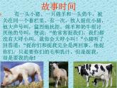 五年级下册心理健康课件-第二十一课 当冲突发生时｜北师大版 （共7张PPT）